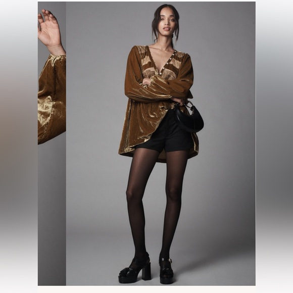 Anthropologie Tops - Anthropologie Long Sleeve Velvet Lace Babydoll Top